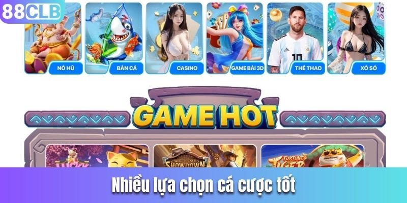 Nhà cái cung cấp rất nhiều lựa chọn cá cược tốt